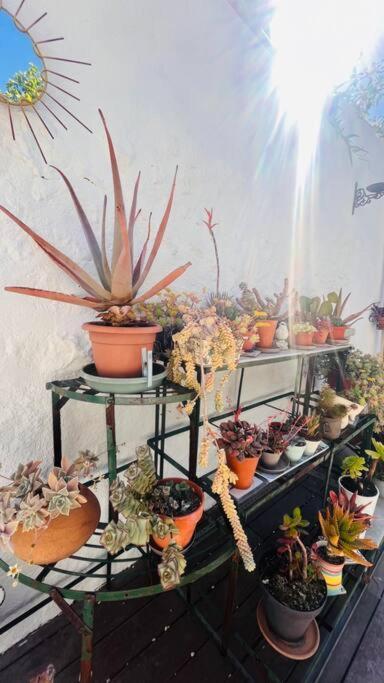 Apartamento Le Jardin Du Roucas Marsella Exterior foto